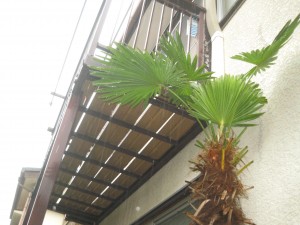 造作（持ち出し）バルコニー工事