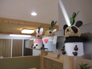 ショールームに新しい仲間が・・・♥