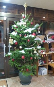 ☆クリスマスディスプレイ　in　八王子☆