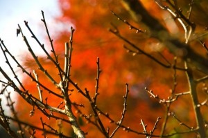 3Dパースで完成後のイメージを！