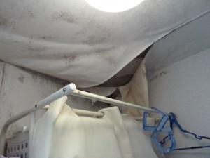 フレンチシャビー★