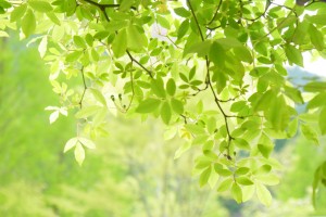 3世帯（+ワンちゃん）リフォーム完成！