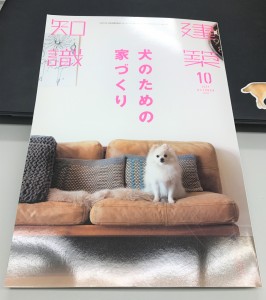 中古購入リノベーション施工中！