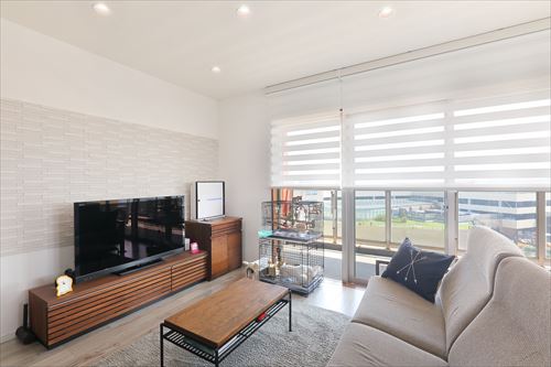 スイス漆喰 × エコカラット