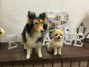 写真 2018-01-19 15 19 20