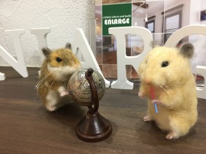 写真 2018-01-19 15 22 34