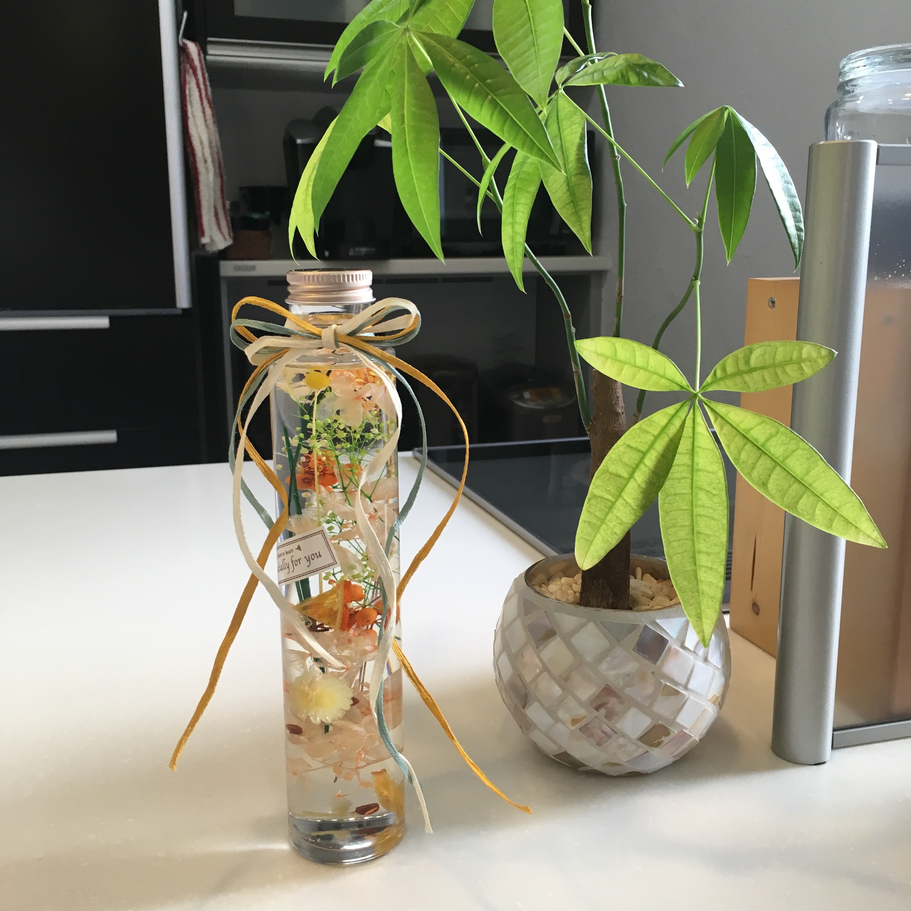 写真 2018-02-03 15 49 24