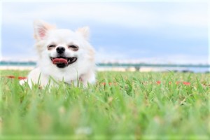 整理について【整理収納アドバイザーのアドバイス②】