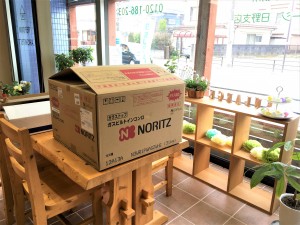 春の色がちらほらと