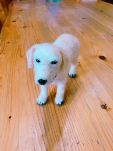 写真 2018-03-16 15 35 23