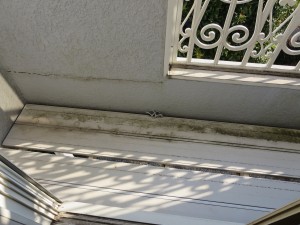 バルコニー前２