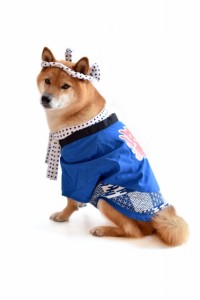 3b85eec2b2bbeabe29d3ae8ecffa0ffd_s