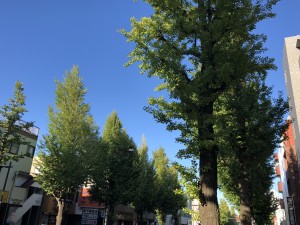 写真 2018-10-06 15 55 18