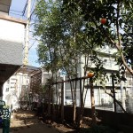 デザイン性と機能性を調和したスタイリッシュな外構