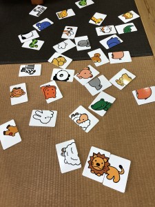 写真 2019-02-17 11 34 36