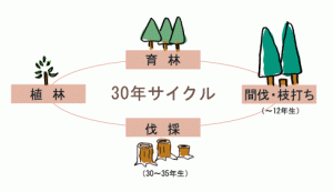 WOODONE (ウッドワン) の無垢材