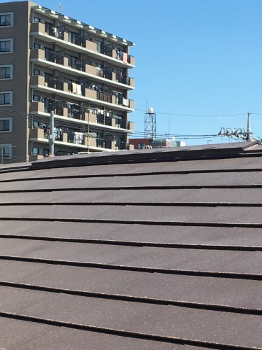 写真 2019-03-24 11 55 17