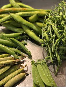 スクリーンショット 2019-05-15 16.43.27