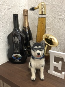 写真 2019-05-17 15 19 19