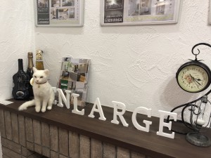 写真 2019-06-21 15 22 47