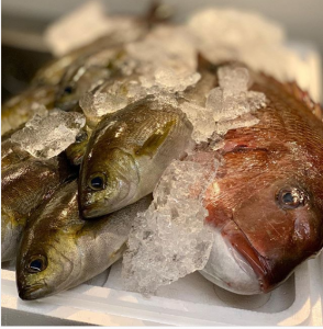 スクリーンショット 2019-06-14 11.13.33