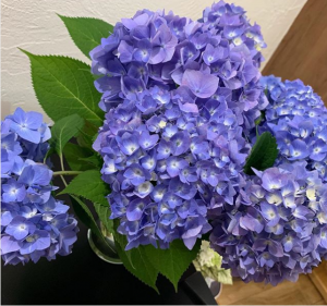 スクリーンショット 2019-06-12 17.14.33