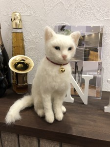 写真 2019-06-21 15 23 00