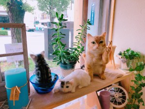 写真 2019-07-19 9 55 05