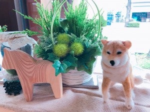 写真 2019-07-19 9 55 59