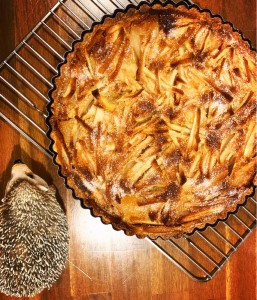 りんごのタルト　タルトポンパイユ