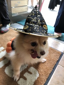 蜀咏悄 2019-10-26 13 02 29