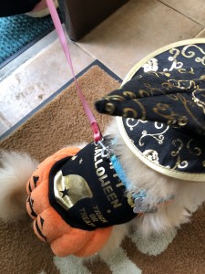 蜀咏悄 2019-10-26 13 02 51