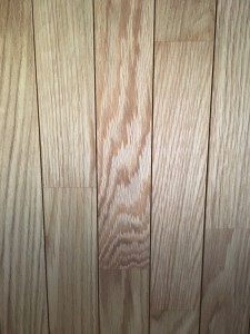 写真 2019-09-30 16 19 40