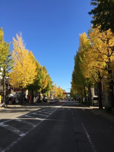 ✽八王子いちょう祭り✽