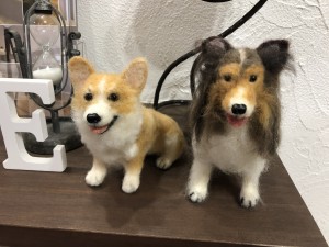 写真 2019-12-20 15 30 36