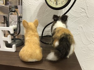 写真 2019-12-20 15 30 20