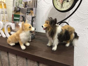 写真 2019-12-20 15 31 01