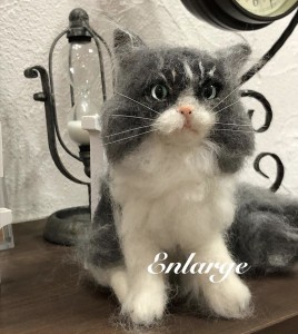 写真 2020-01-29 11 34 47