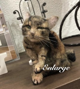 写真 2020-01-29 11 34 39