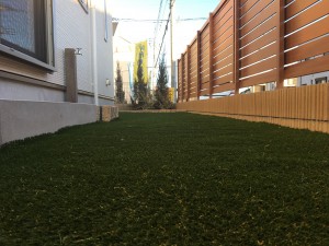 写真 2020-01-31 16 12 52