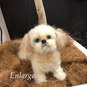 写真 2020-02-28 11 44 45