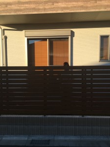 写真 2020-01-31 16 11 33