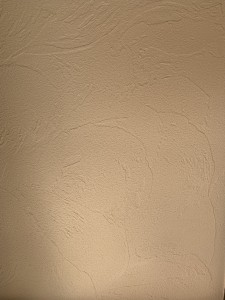 珪藻土　ベージュ