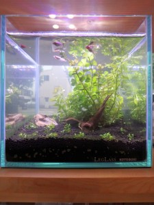 ステイホームで理想の間取りを考える！