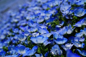 夢を叶える、中古購入×リノベーション！