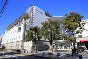 いちょうホール