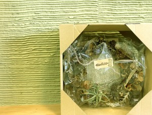 IMG_4513 のコピーのコピー