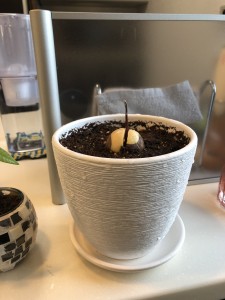 家事のプロが愛用するキッチン✨