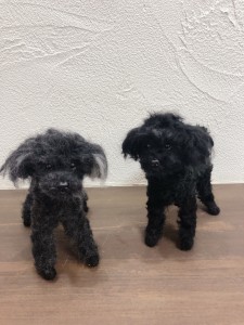 写真 2021-02-19 14 15 41