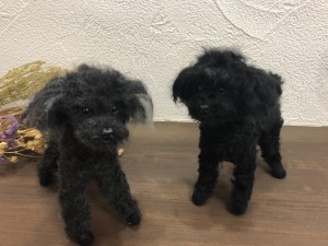 写真 2021-02-19 14 16 50